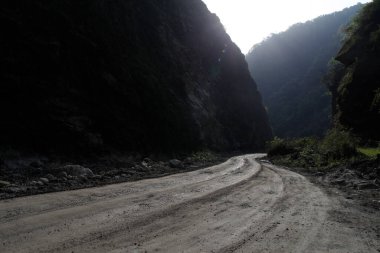 Doğa arka planındaki güzel yol