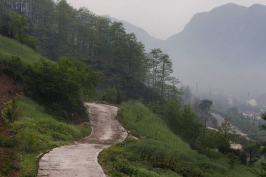 Doğa arka planındaki güzel yol