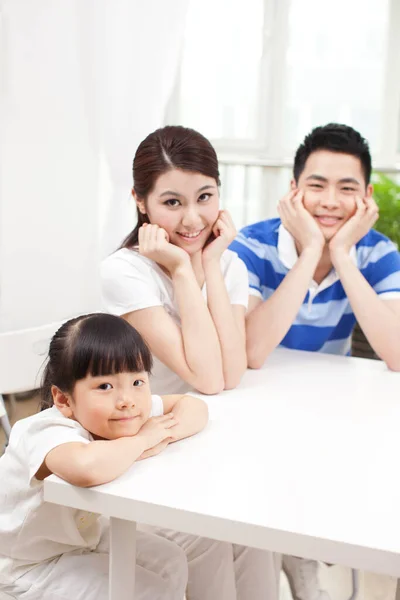 Porträt Einer Jungen Familie — Stockfoto