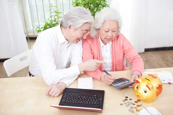 Starsza Para Korzystająca Laptopa Kalkulatora — Zdjęcie stockowe