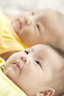 bebek ikizler kardeş portresi 