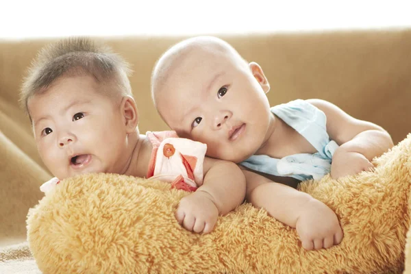 Baby Twins Brother Sister Portrait — Stock Photo, Image