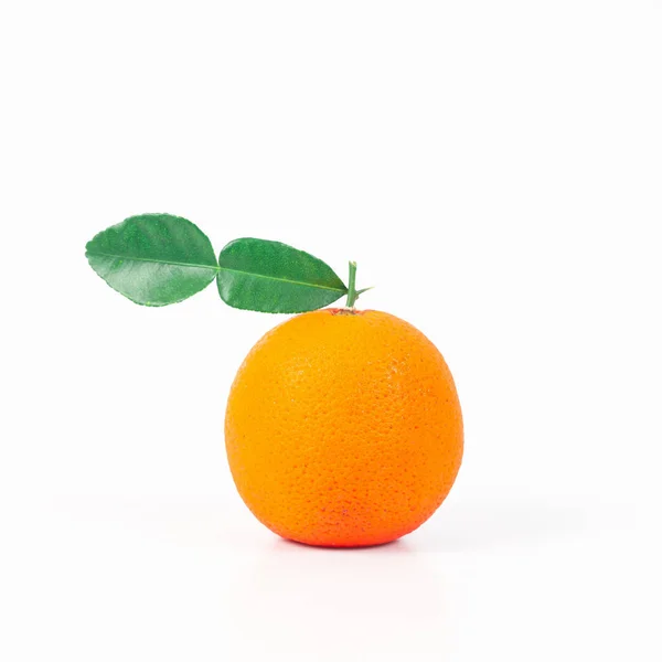 Isoleren Van Oranje Vruchten Witte Achtergrond — Stockfoto