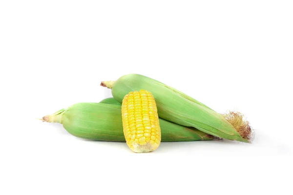 Fresh Corncobs or corn ears isolated on white background