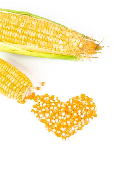 Fresh Corncobs Corn Ears Isolated White Background — Stock Photo, Image