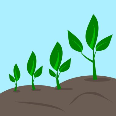 İşlem Infographic büyüyen ağaç dikme. Düz tasarım iş kavramı, illüstrasyon vektör için.