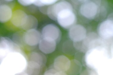 Bokeh doğa arka plan bulanıklık arka plan kavramı