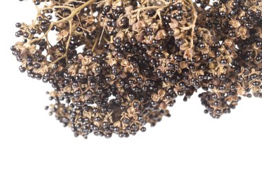 Zanthozylum limonella Alston ot test sıcak ve baharat beyaz arka plan üzerinde