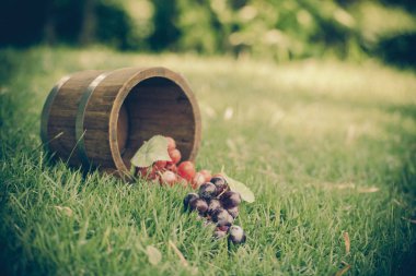 meyve backyar, ahşap sepeti