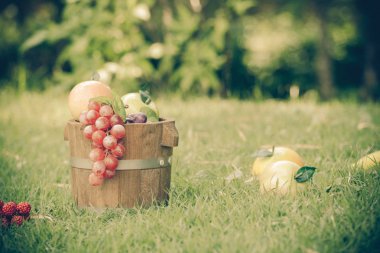 arka bahçe ahşap sepet meyve