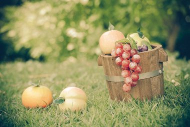 arka bahçe ahşap sepet meyve