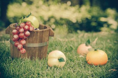 arka bahçe ahşap sepet meyve