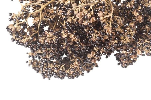 Zanthozylum limonella Alston ot test sıcak ve baharat beyaz arka plan üzerinde