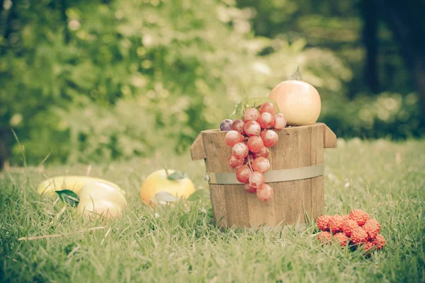 Fruits Dans Panier Bois Cour Arrière — Photo