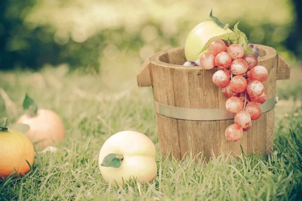 Frukt Trä Korg Bakgården — Stockfoto