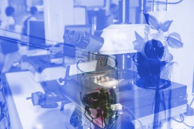 Laboratuvar test tüpü, bilim ile araştırma bilim adamı