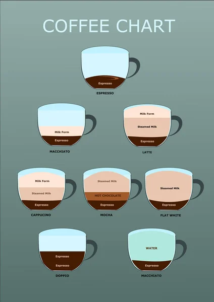 Coffee Guide Set Hot Drinks Coffee Chart Coffee Infographic — Stock Vector