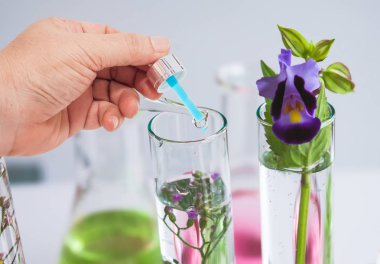 El damlalık test Tube renk arka plan üzerinde kapatın