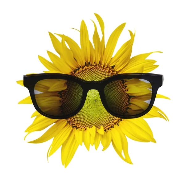 Schöne Sonnenblume Mit Sonnenbrille Auf Weißem Hintergrund — Stockfoto