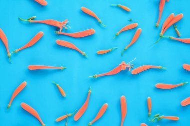 Renk arka plan üzerinde turuncu çiçekler.