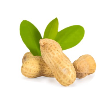 Fıstık kabukları beyaz arka plan üzerinde.