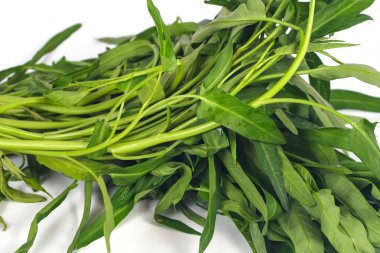 Beyaz arka plan üzerinde taze sabah zafer.