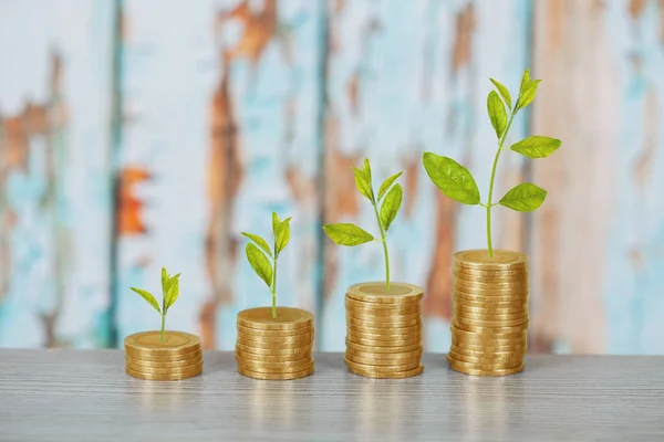 Cultivo de árboles en pilas de monedas, concepto de crecimiento de la inversión . — Foto de Stock