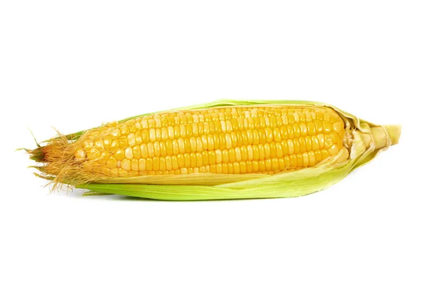 Mazorcas de maíz frescas o espigas de maíz aisladas sobre fondo blanco —  Fotos de Stock