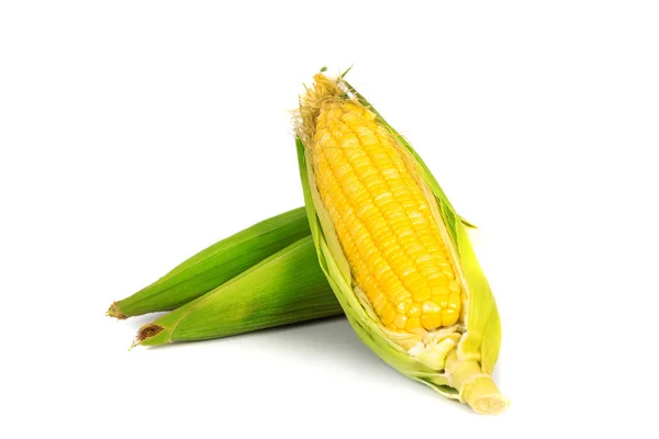 Verse maïskolven of maïs oren geïsoleerd op witte achtergrond — Stockfoto