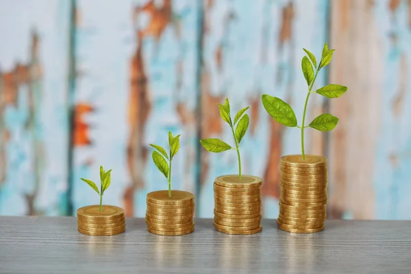 Cultivo de árboles en pilas de monedas, concepto de crecimiento de la inversión . — Foto de Stock