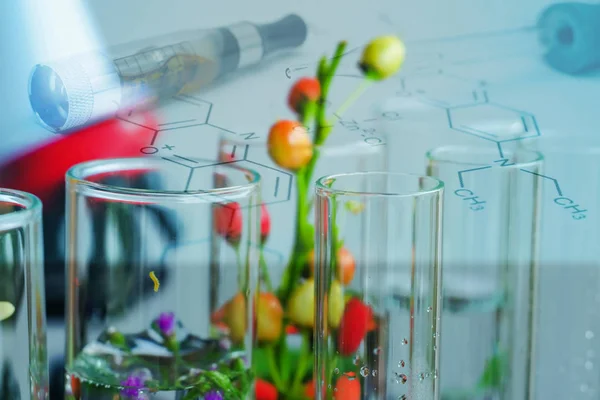 Pequeñas plantas en tubo de ensayo para investigación en medicina biotecnológica . — Foto de Stock