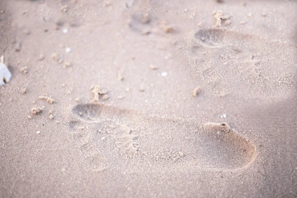 Human foot print on a beach sand near the sea.