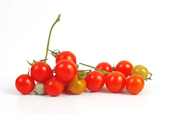 Kleine Tomate auf weißem Hintergrund.. — Stockfoto