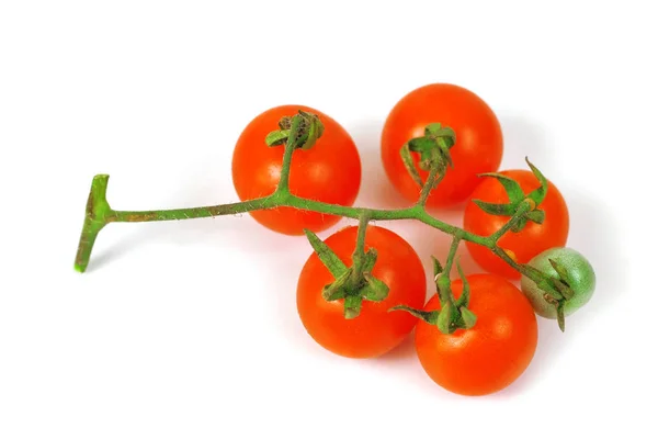 Kleine Tomate auf weißem Hintergrund.. — Stockfoto