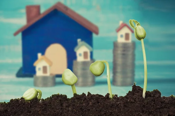 Small plant growing up with small house on coin stack background