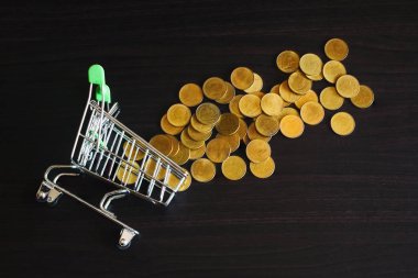 Alışveriş arabası ve dart tahtası dışında Altın sikke para.