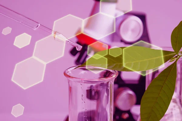 Pipetteer boven de test buis op de chemische stof in kruiden — Stockfoto