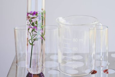 Küçük tüp biyoteknoloji Tıp araştırma tesislerinde.