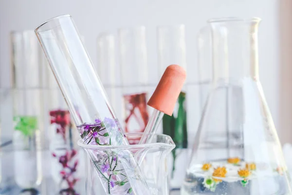 Small plants in test tube for biotechnology medicine research. — Stock Photo, Image
