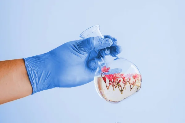 Agujero de mano a Plantas pequeñas en tubo de ensayo para la biotecnología medicin — Foto de Stock