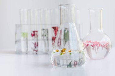 Küçük tüp biyoteknoloji Tıp araştırma tesislerinde.