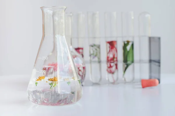 Pequeñas plantas en tubo de ensayo para investigación en medicina biotecnológica . — Foto de Stock