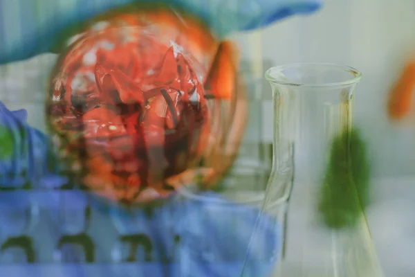 Nahaufnahme kleiner Pflanzen im Reagenzglas für die Biotechnologie-Medizin — Stockfoto