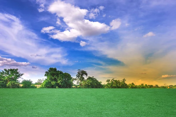 Landskap av blått himmel och grönt område natur bakgrund. — Stockfoto