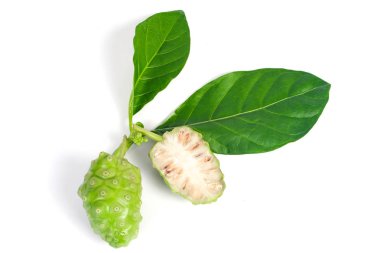 Noni veya Morinda Citrifolia meyve beyaz arka plan o izole