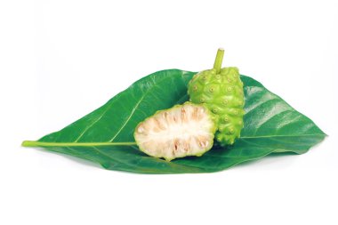 Noni veya Morinda Citrifolia meyve beyaz arka plan o izole