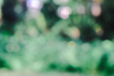 Doğanın bulanık ve bokeh arka planı.