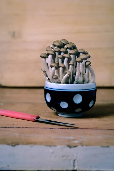 Свіжий коричневий гриб Shimeji або буковий гриб в чашці на дереві ba — стокове фото