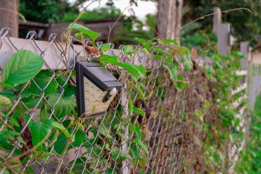 Eski güneş ışığı lambası