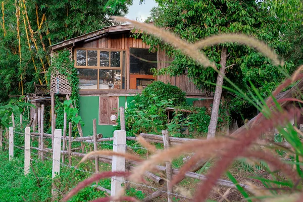 Pequena Casa Velha Floresta Tropical — Fotografia de Stock
